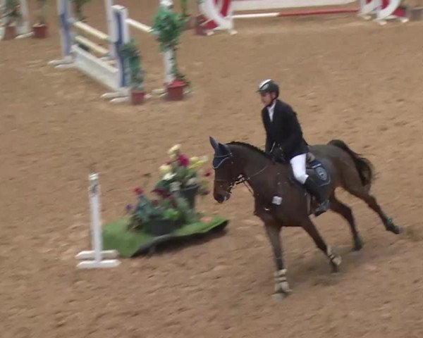 Reitturnier Kreuth 2017