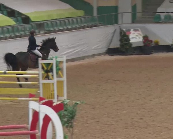 Reitturnier Kreuth 2017