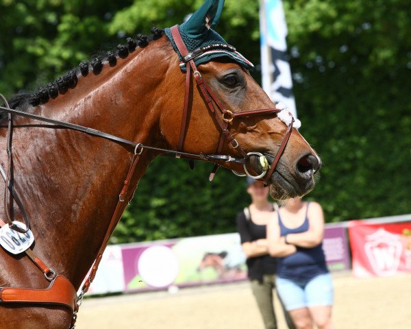 jumper Louci (Rhinelander, 2001, from Lanero NRW)