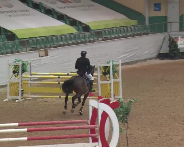 Reitturnier Kreuth 2017