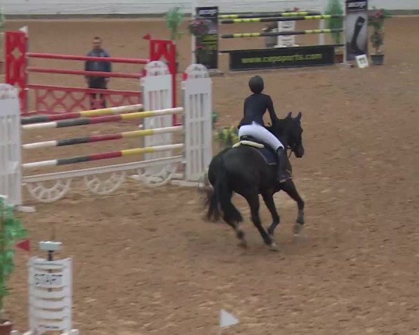 Reitturnier Kreuth 2017