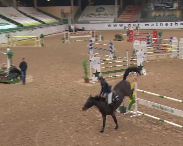 Reitturnier Kreuth 2017