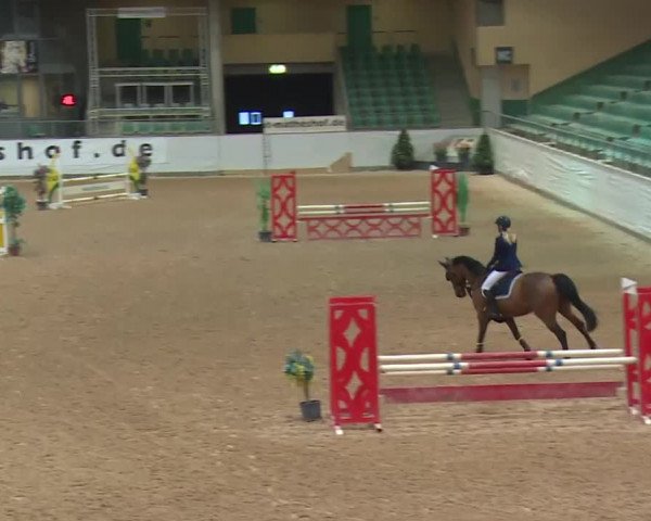 Reitturnier Kreuth 2017