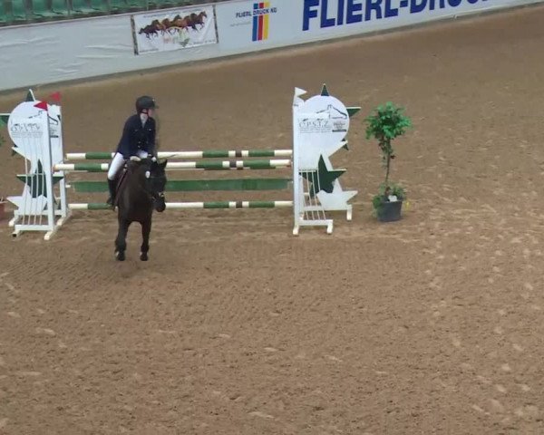Reitturnier Kreuth 2017