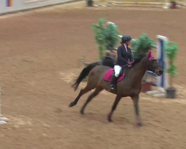 Reitturnier Kreuth 2017