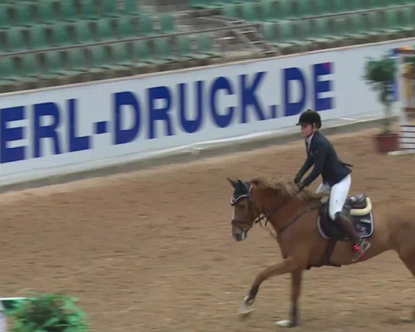 Reitturnier Kreuth 2017