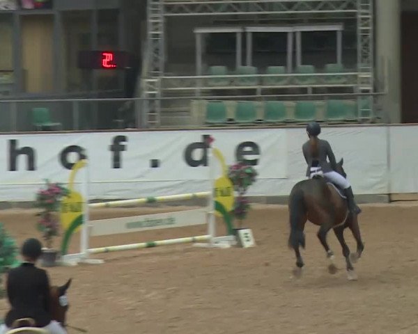 Reitturnier Kreuth 2017