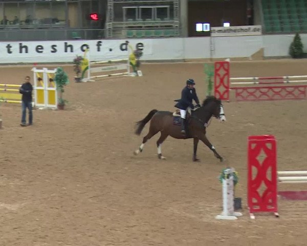 Reitturnier Kreuth 2017