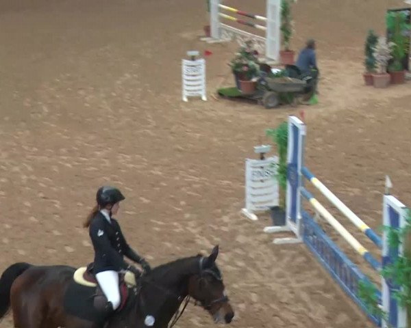 Reitturnier Kreuth 2017