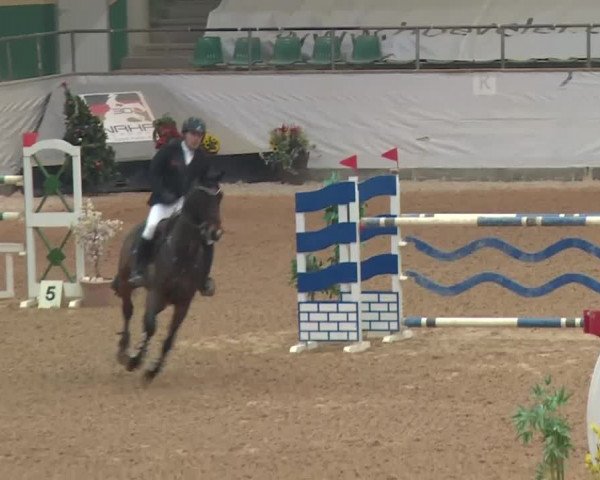 Reitturnier Kreuth 2017