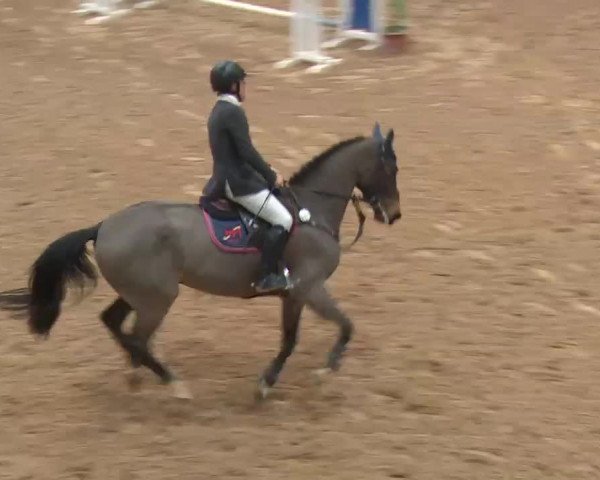 Reitturnier Kreuth 2017