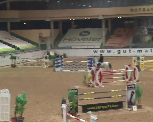 Reitturnier Kreuth 2017