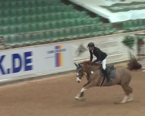 Reitturnier Kreuth 2017