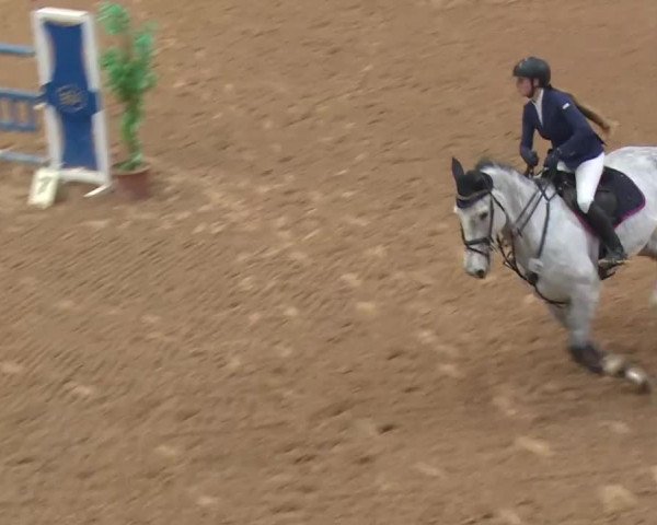 Reitturnier Kreuth 2017