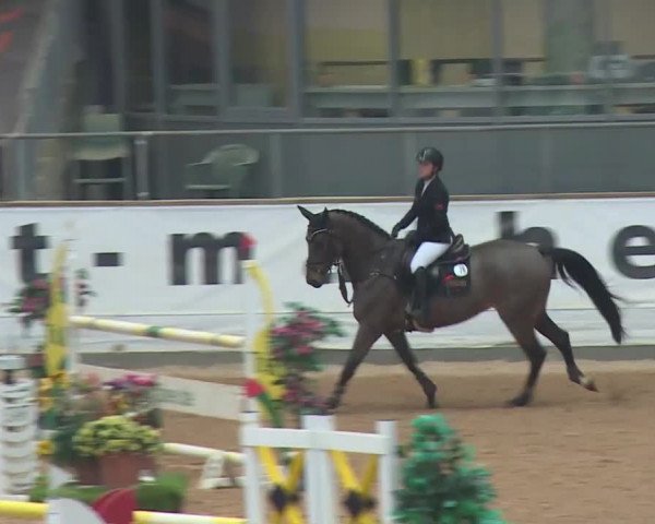 Reitturnier Kreuth 2017