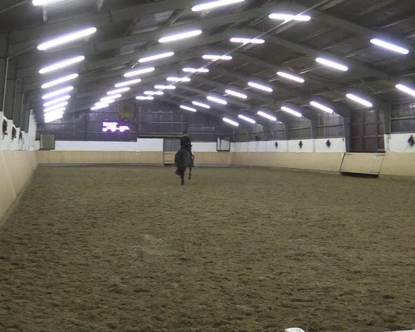 Reitturnier Datteln 2017