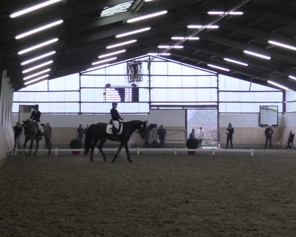 Reitturnier Datteln 2017