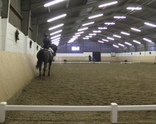 Reitturnier Datteln 2017