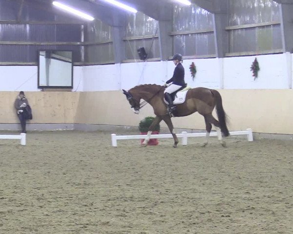 Reitturnier Datteln 2017