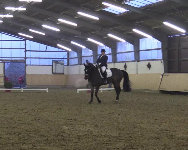 Reitturnier Datteln 2017