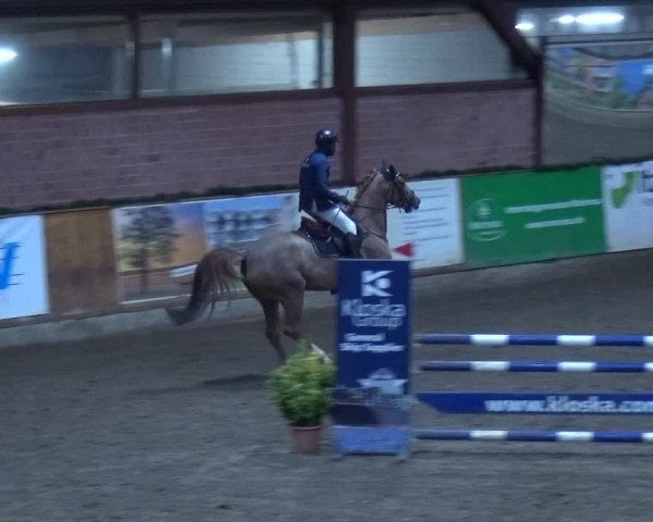 Reitturnier Hamburg-Friedrichshulde 2017