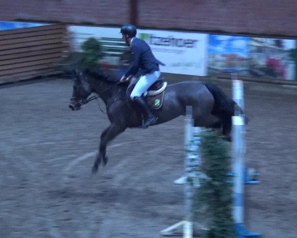 Reitturnier Hamburg-Friedrichshulde 2017