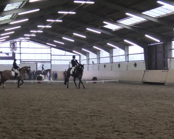 Reitturnier Datteln 2017