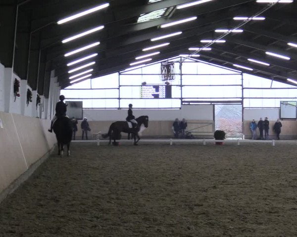 Reitturnier Datteln 2017