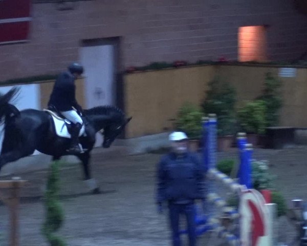 Reitturnier Hamburg-Friedrichshulde 2017