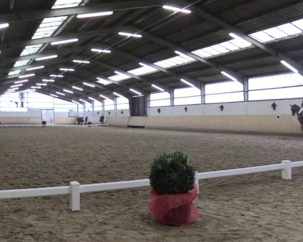Reitturnier Datteln 2017