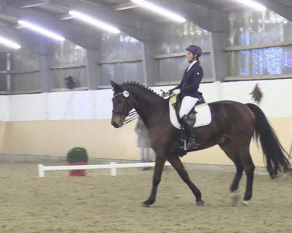 Reitturnier Datteln 2017