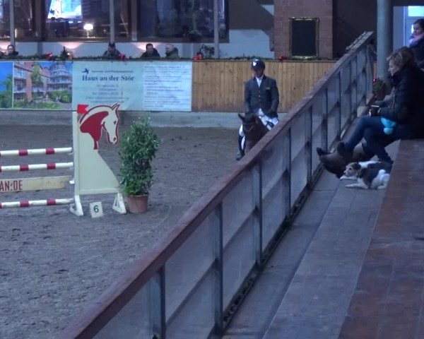 Reitturnier Hamburg-Friedrichshulde 2017
