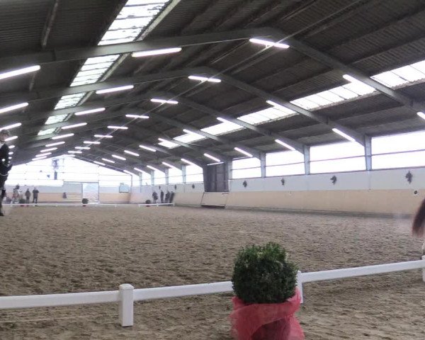 Reitturnier Datteln 2017