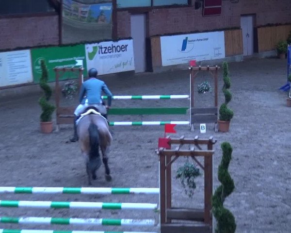 Reitturnier Hamburg-Friedrichshulde 2017