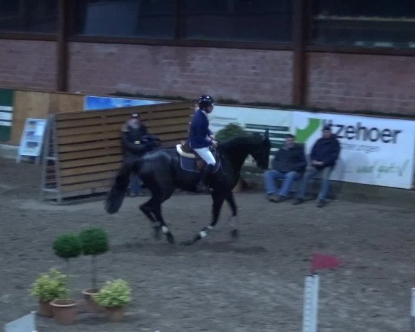 Reitturnier Hamburg-Friedrichshulde 2017