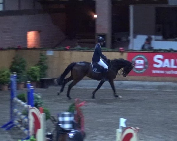 Reitturnier Hamburg-Friedrichshulde 2017