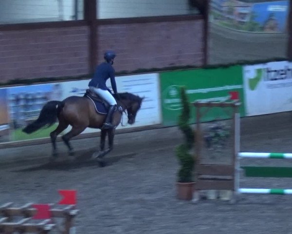 Reitturnier Hamburg-Friedrichshulde 2017