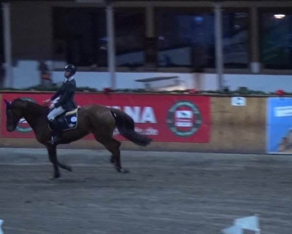 Reitturnier Hamburg-Friedrichshulde 2017