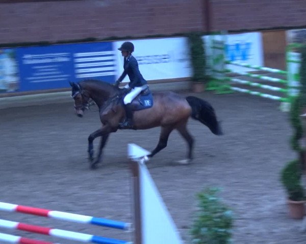 Reitturnier Hamburg-Friedrichshulde 2017