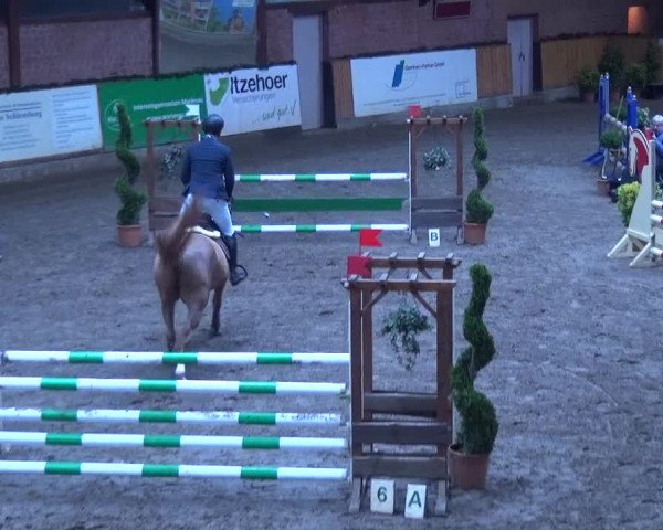 Reitturnier Hamburg-Friedrichshulde 2017
