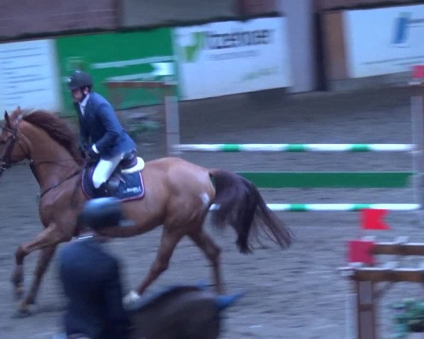 Reitturnier Hamburg-Friedrichshulde 2017