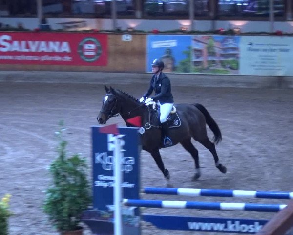 Reitturnier Hamburg-Friedrichshulde 2017