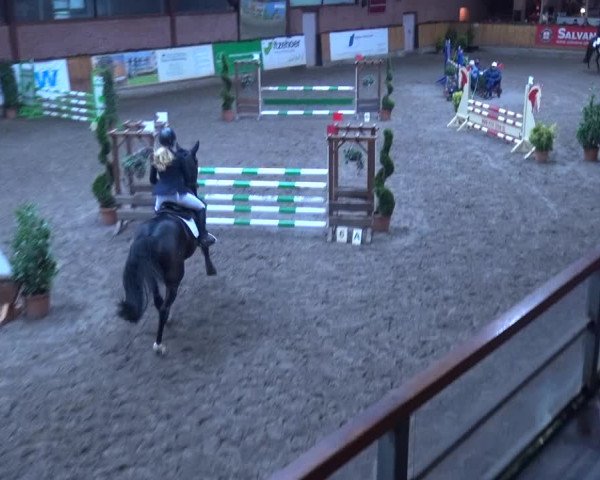 Reitturnier Hamburg-Friedrichshulde 2017