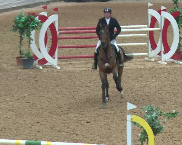Reitturnier Kreuth 2017