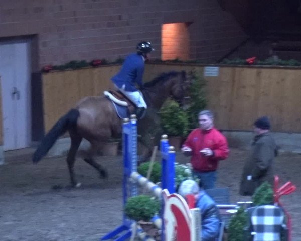 Reitturnier Hamburg-Friedrichshulde 2017