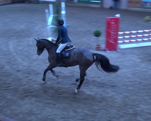 Reitturnier Hamburg-Friedrichshulde 2017