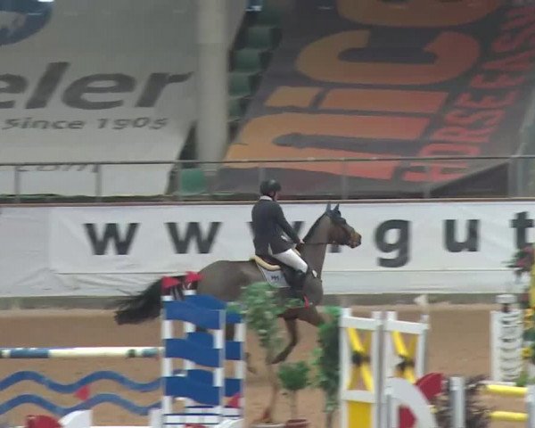 Reitturnier Kreuth 2017