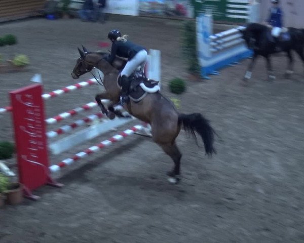 Reitturnier Hamburg-Friedrichshulde 2017