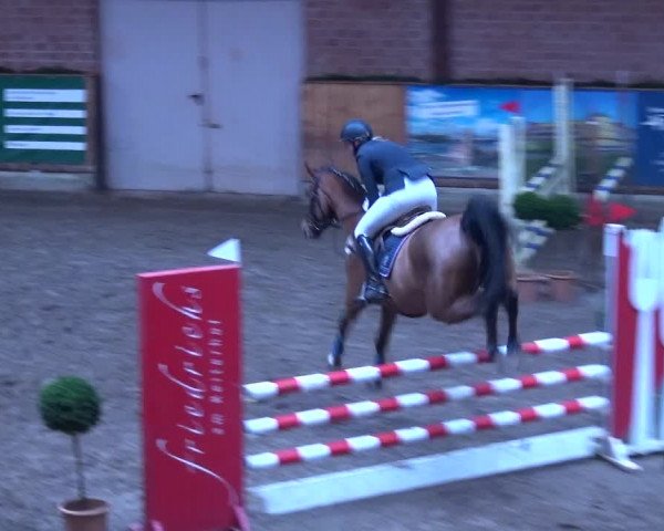 Reitturnier Hamburg-Friedrichshulde 2017