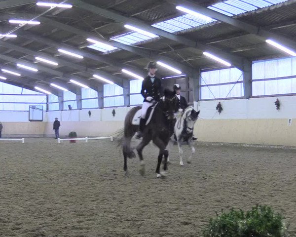 Reitturnier Datteln 2017